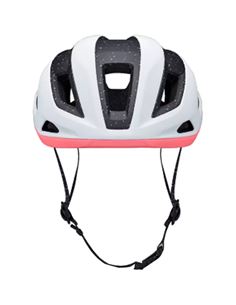 CASCO SPECIALIZED SEARCH 2024 2