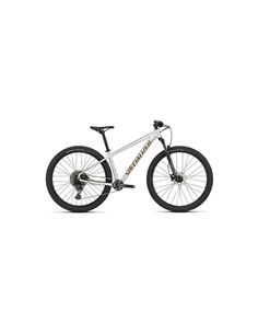 Specialized Rockhopper Expert